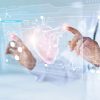 Medicine doctor and stethoscope touching icon heart and diagnost Medicine doctor and stethoscope touching icon heart and diagnostics analysis medical on modern virtual screen interface network connection. Medical technology diagnostics of heart concept